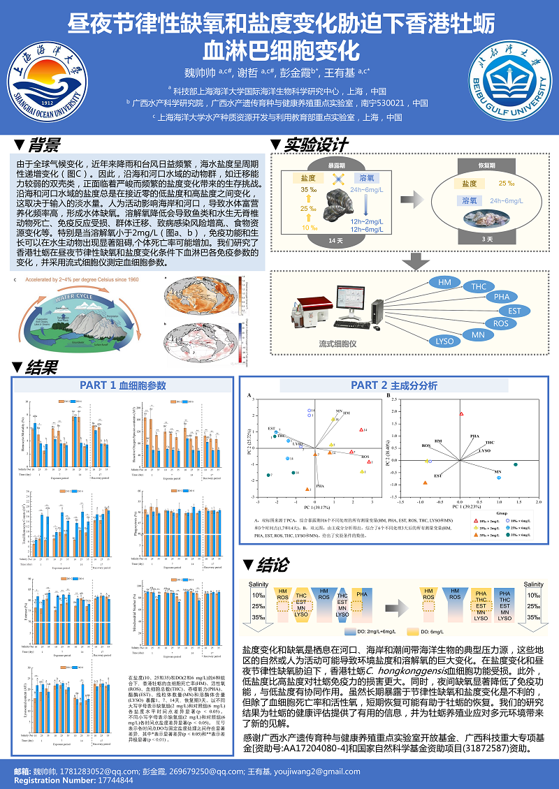 魏帅帅--上海海洋大学.png