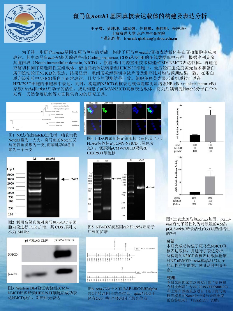 第1页.jpg