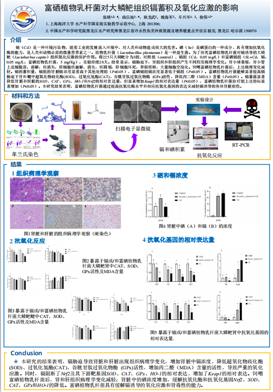 截图_选择区域_20230112143634.png