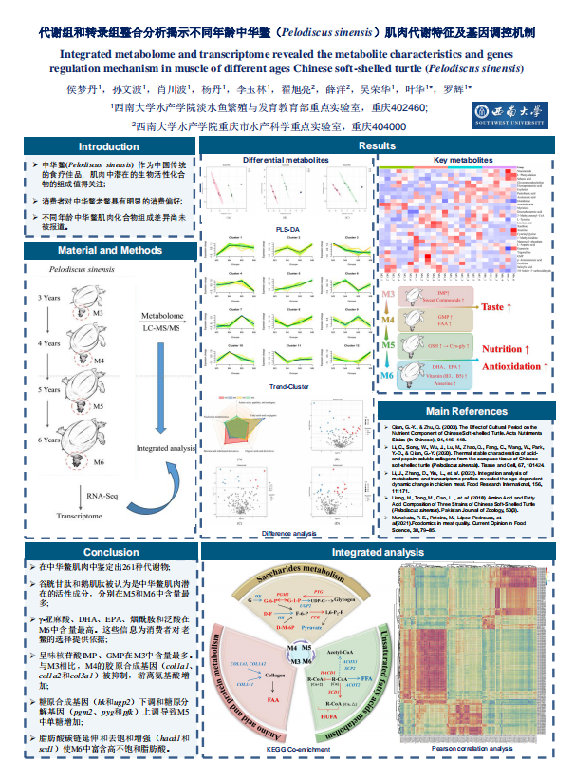 截图_选择区域_20231123201826.png